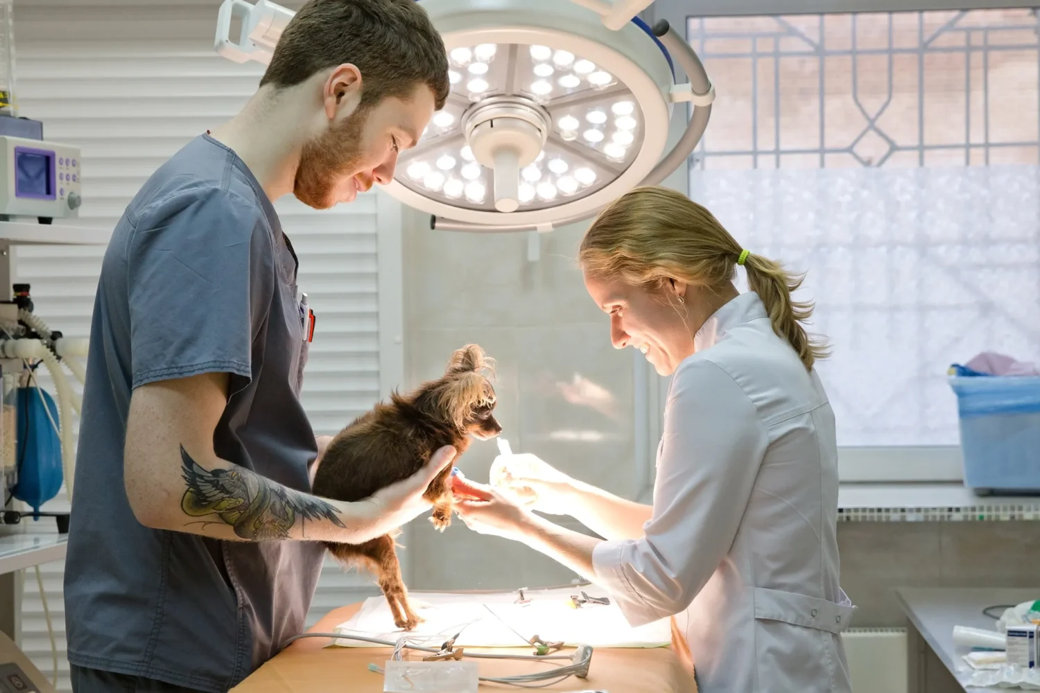 veterinary-home-banner